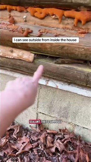 Abandoned Log Cabin Problems