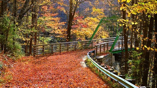 'Primed for a show': Why 2024 is shaping up to be a great fall foliage year in Massachusetts