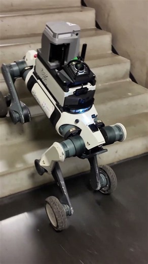 Robot Climbing Stairs 🤖 | CERNA.AI Festival 2026