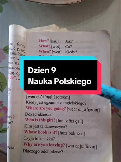 Learn Polish: Essential Questions for Beginners