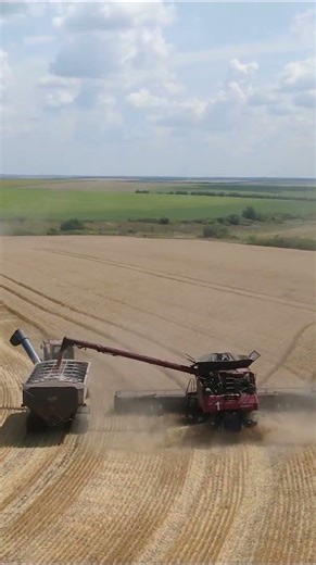 Pure Grain Flow in Every Meter #case_wheat