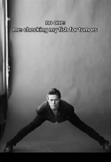 Funny Science Moments of a PhD Student