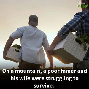 384K views · 10K reactions | The Farmer Man chooses 3 pieces of advice and 3 loaves of bread instead of 20-year salary | The meaning of life | Facebook