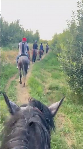 Équestre à Midelt pour visiter les gorges de Berum et environs #equestrian #maroc #france