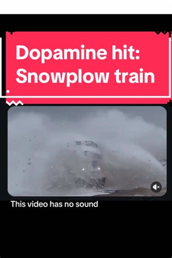 Imagine what this looks like from the train engineer’s POV 😳🥶 🚂#train #snow #winter #dopamine #notmyvideo