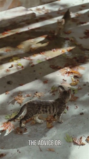 Don't Just Dream, EXECUTE Denzel Washington