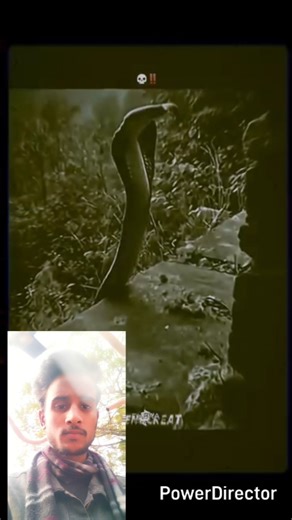 fake snake ❌ real snake ✅ motivation short