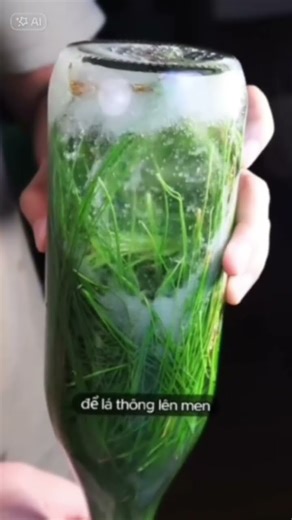 pine needle sprite #shortvideo