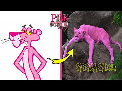 Pink Panther and Pals Characters IN REAL LIFE 👉‪@SONA_Show‬