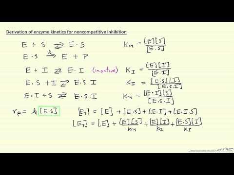 Derivation of Enzyme Kinetics for Noncompetitive Inhibition