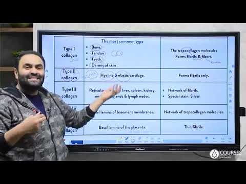 Histo final revision connective tissue lectures 9 10