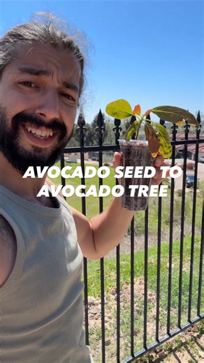 690K views · 11K reactions | Most people throw the seed away… but if...