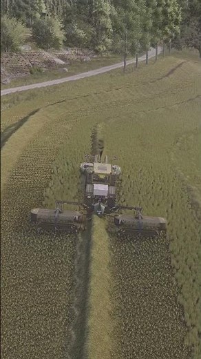Der Berg wohl zu anspruchsvoll für den MB Trac... ⛰️🐮🚜 #fs25 #ls25 #reshade #farming #simulator