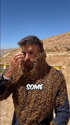 Why bees don't sting beekeepers? #facts #animalfacts #wildlife