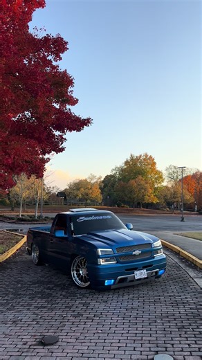 Explore the Unique Style of Cat Eye Makeup