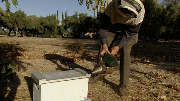Modern Marvels Season 10 Episode 11 Nature's Engineers