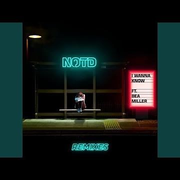 I Wanna Know (Syn Cole Remix)