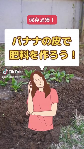 バナナの皮で作る簡単肥料の方法