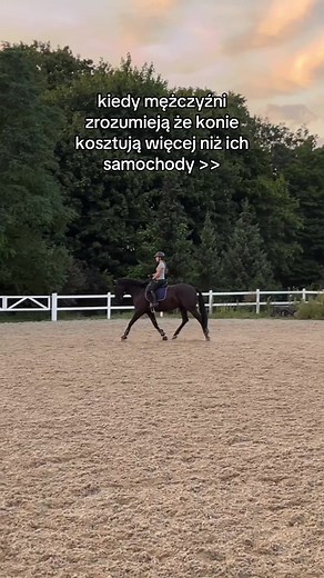 Konie na sprzedaż: Dlaczego warto zainwestować?