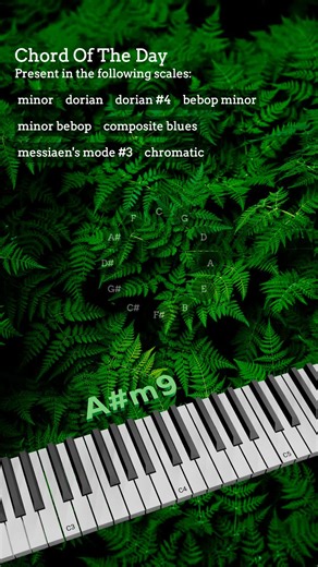 Chord of the Day 5! Music Teacher Studio, the most powerful content creation app for musicians. Are you a music teacher? Start creating content today! #musicteacher #piano #guitar #musictheory #jazz