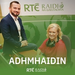 Aonghus Ó Snodaigh, Cathaoirleach Chomhchoiste na Gaeilge, na Gaeltachta agus Phobal Labhartha na Gaeilge.
