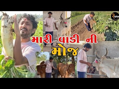 Rajbha Gadhvi || મારી વાડી ની મોજ || Rajbha Gadvi New Farm house Tour.