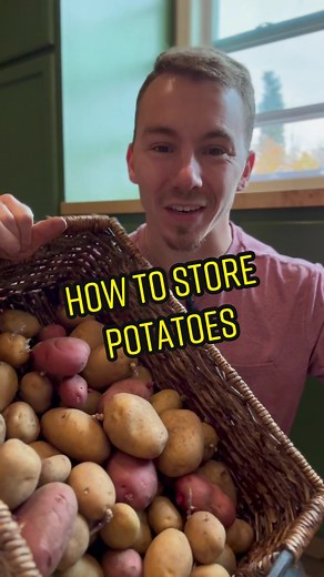 How to Store Potatoes to Keep Them Fresh for Months