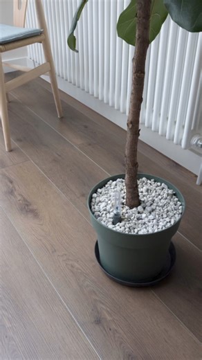 1.8K views · 11 reactions | LVT Flooring Benefits. Can you tell me why I should choose LVT? #lvt #vinylflooring #flooring #pisos #lvtvinylinstallation #fyp #homedesigns #interiordesigns #homeinteriordesign #homeinspiration #houserenovation | Tile Merchant Ireland | Facebook