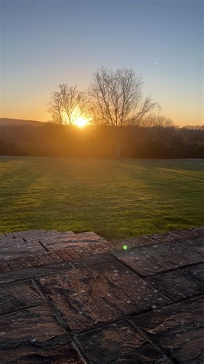 Relax and Chill: Embrace Life's Great Moments