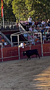 Salto Mortal De “JuanCa” Al Toro De Galache ¡Precioso! #concursoderecortes | Aventurataurina