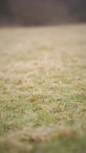 3.9K views · 132 reactions |  Want to build a clean and reliable...