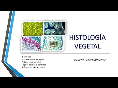 BOTÁNICA- Histología Vegetal