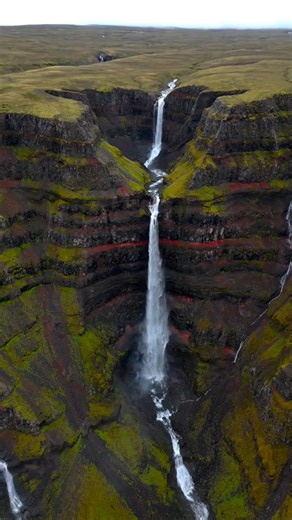 339 reactions · 34 shares | L’Islande qui fait rêver  Entre volcans, cascades, glaciers et plages de sable noir… l’Islande est à couper le souffle. Rendez-vous cet hiver pour voir danser les aurores boréales dans le silence glacé du grand nord.  @tamas.pix | Visages du Monde - Agence de Voyages | Facebook