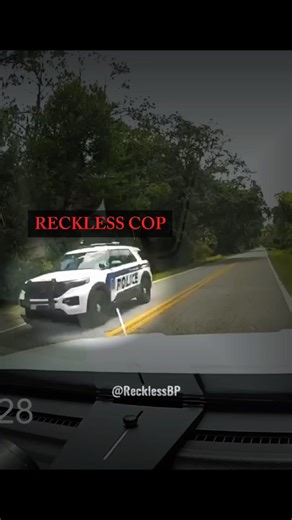 Deputy Tries To PULL OVER Fellow Cop!
