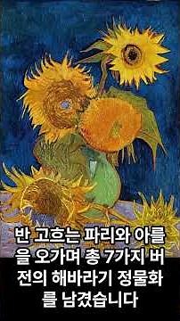"비극적 운명의 해바라기" 반 고흐가 사랑한 투박한 아름다움 #고흐 #반고흐미술관 #해바라기 #일본 #야마모토