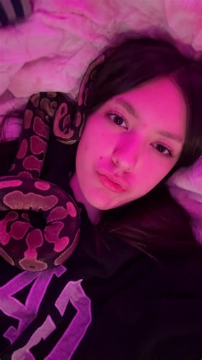 Melody Cuddles: The Adorable Ball Python