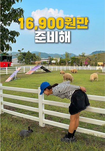증평 패스로 즐기는 저렴한 여행법 안내