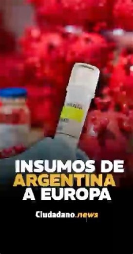 Hantavirus: Argentina sends aid to Europe due to outbreak of Andes strain 🦠