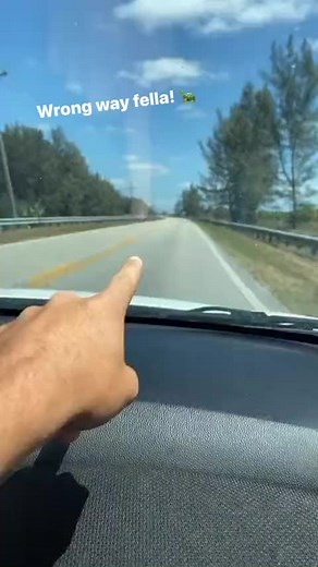 2.6M views · 10K reactions | We saved this turtle today! #saved #turtle #ontheroad #animals #reels | Paul Cuffaro | Facebook