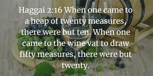 Haggai 2:10-23 Bible Study for Small Groups - I Will Bless You