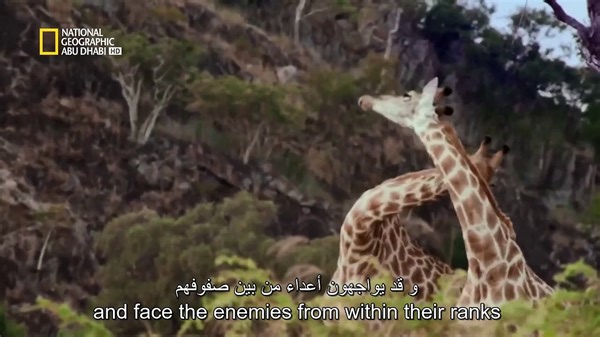 Nat Geo Documentary in Arabic - Arabic with English Subtitles