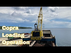Copra Loading Operation | General Cargo Ship | During my son apprenticeship