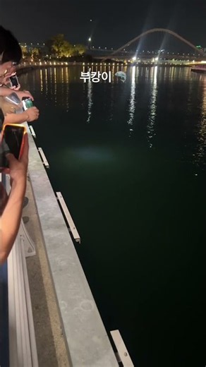 부산 북항친수공원 부캉이🦈