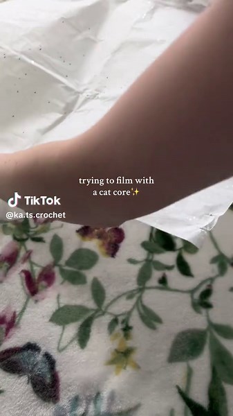 kats crochet for a reason😭 this is our new cat, so he’s been hiding under the bed pouncing at everyone #crochet #packanorderwithme #catsoftiktok #cathumor #crochetersoftiktok #crochettok #crochettiktok #katscrochet