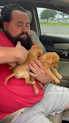 On our way home from running errands we saw a “free puppies” sign on the side of the road. We made a u-turn 😬 Welcome to three tiny new faces ❤️ They weigh 2lbs each and said to be chiweenies. No more living outside! #fosterdogs #puppies #houston