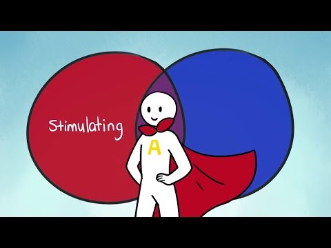 Introvert, Extrovert, or Ambivert: Which One Are You?