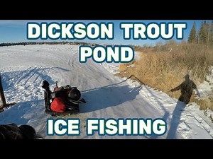 Dickson Trout Pond ║ Ice Fishing ║ No Tigers