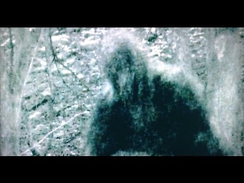 Ohio Grassman Encounter Morgan County, Ohio July 4th 2012