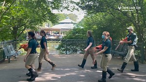 534K views · 6.5K reactions | Yesterday, the Zoo moved its 15...