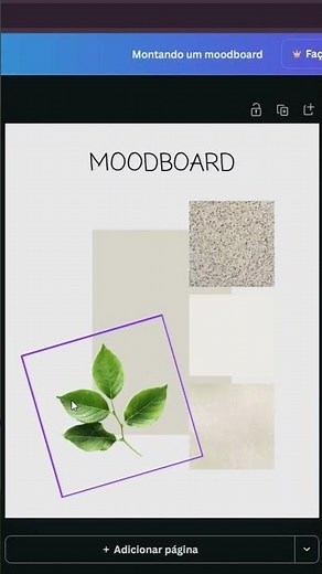 Moodboard para projeto comercial: como fazer